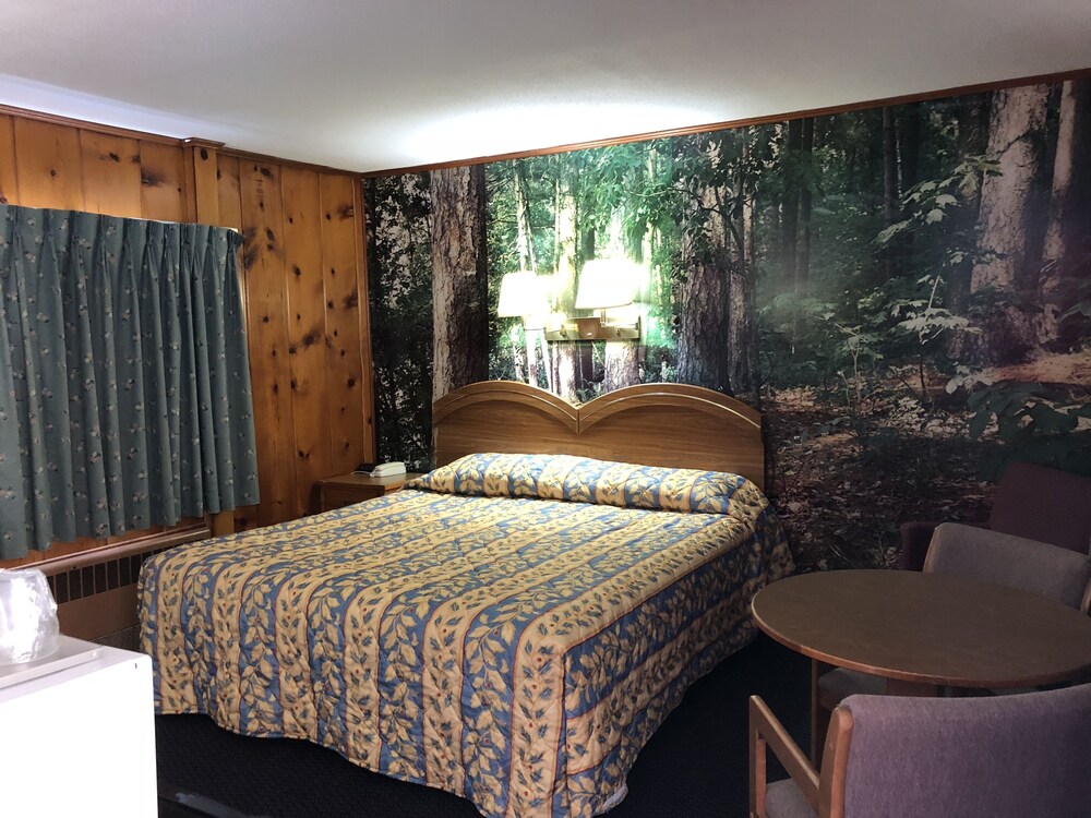 Book Sun N Snow Hotel In Cadillac Hotelscom