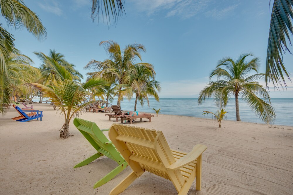 Coconut Row Hopkins Belize Hopkins Hotel Discounts Hotels Com