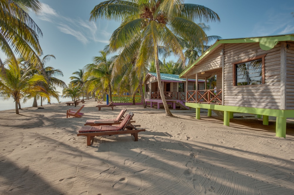 Palm Cove Cabins Hopkins Belize Hotel S Hotels Palm Cove Cabins Hopkins