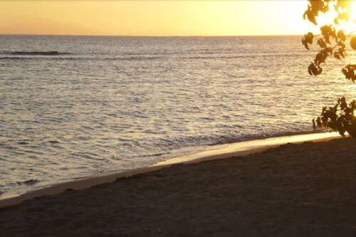 Book Coco Rose Guesthouse In Cades Bay Hotels Com Book Coco Rose Guesthouse In Cades Bay Hotels Com