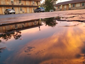 Top 10 Pet Friendly Hotels In Kalamazoo Michigan