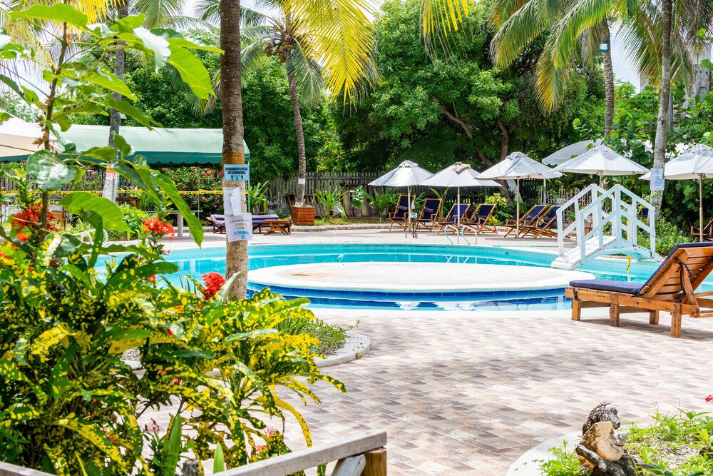 パルマリート ビーチ ホテル ティエラ ボンバ島 の宿泊予約 ホテルズドットコム