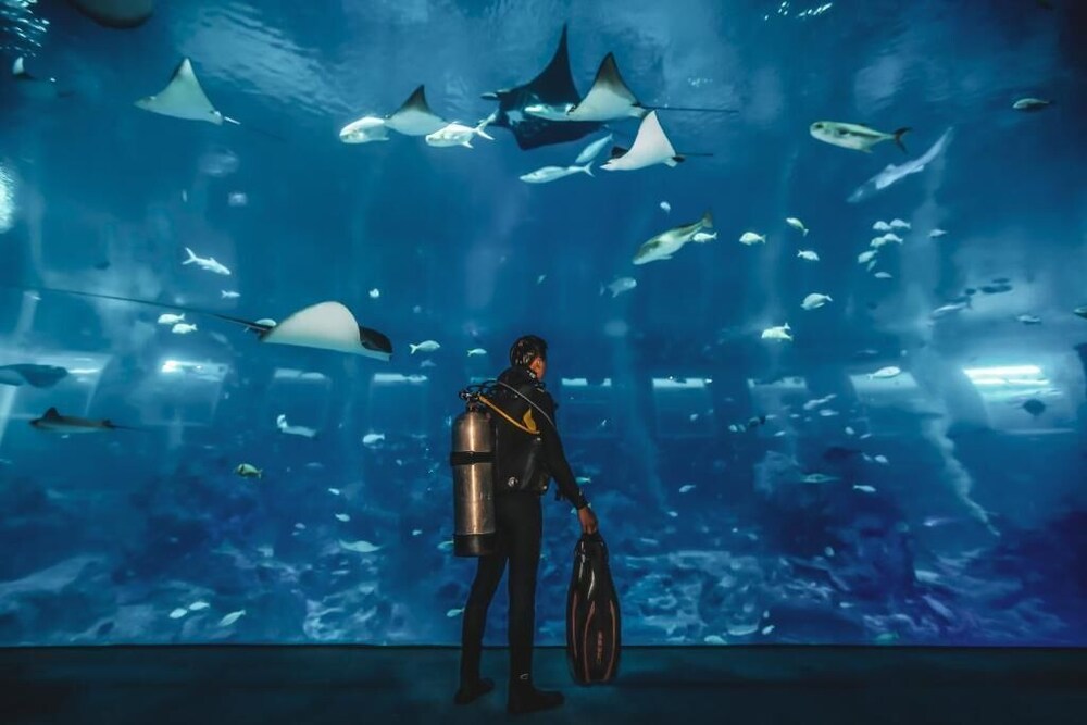 Resorts World Sentosa Genting Hotel Jurong Sg Clean Jurong Updated Price Reviews Hd Photos Hotels Com