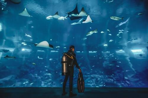 Resorts World Sentosa Genting Hotel Jurong Sg Clean Jurong Updated Price Reviews Hd Photos Hotels Com Resorts World Sentosa Genting Hotel Jurong Sg Clean Jurong Updated Price Reviews Hd Photos Hotels Com