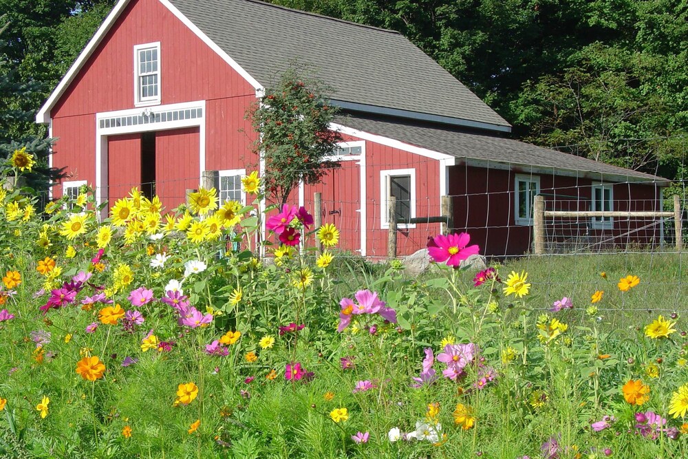 Book Bryn Meadow Farm And B In Charlotte Hotels Bryn Meadow Farm And B Charlotte