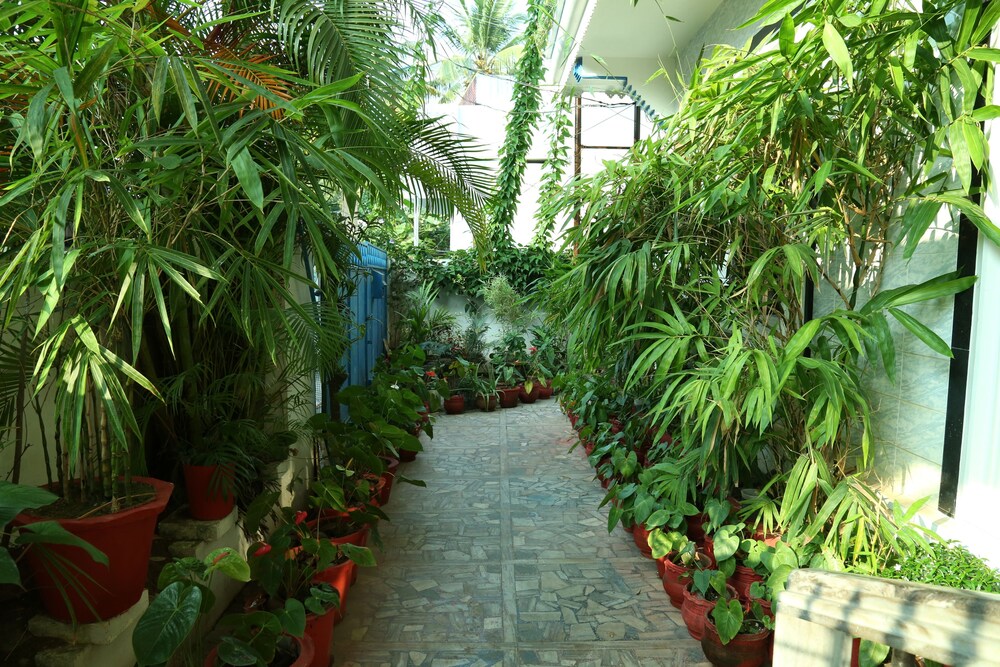 Reviews for Dream Catcher Home Stay, Kochi Dream Catcher Home Stay in Kochi