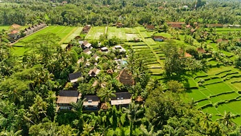Picture of Blue Karma Ubud in Ubud