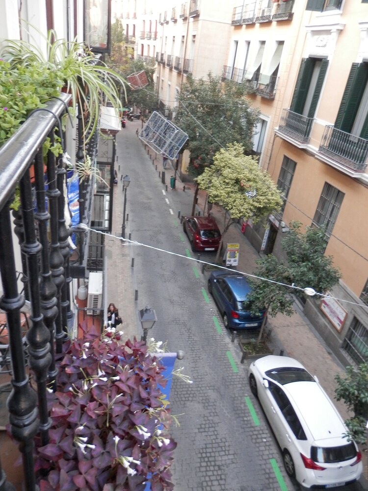 Book Hostal Del Pez Azul In Madrid Hotels Com