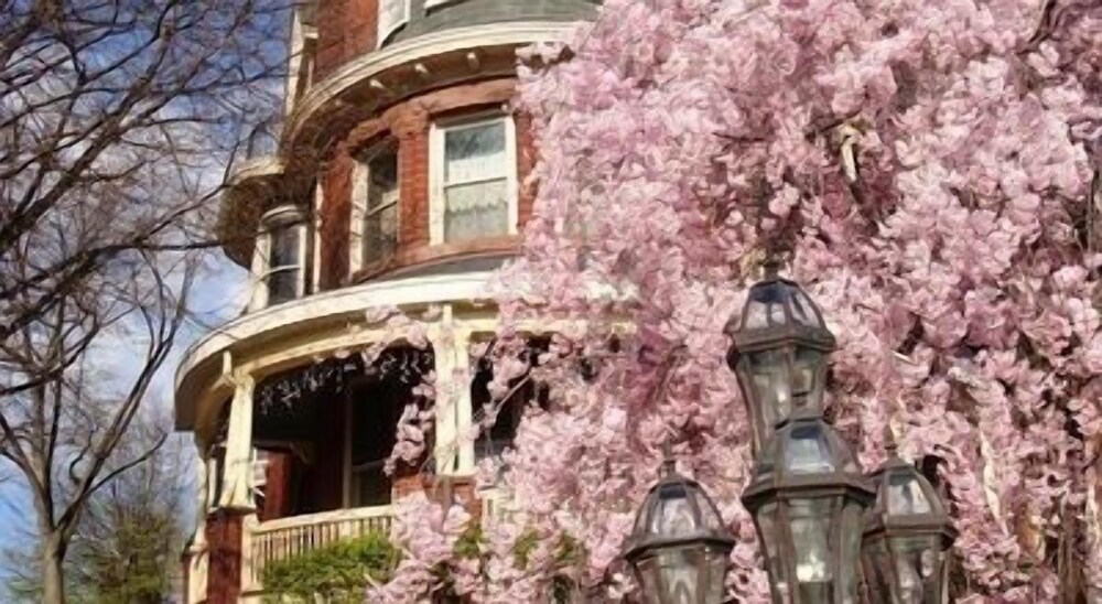 The Ivy Hotel Baltimore Luxury Hotel In Downtown Baltimore Md Hotel Hotels Room Suites