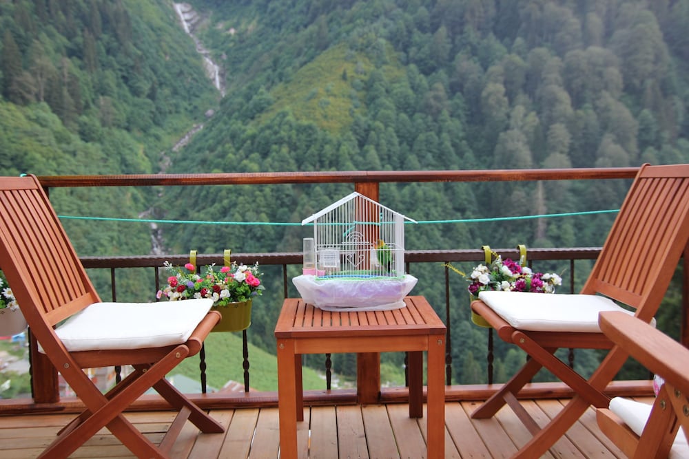 Book Ayder Doga Resort in Camlihemsin