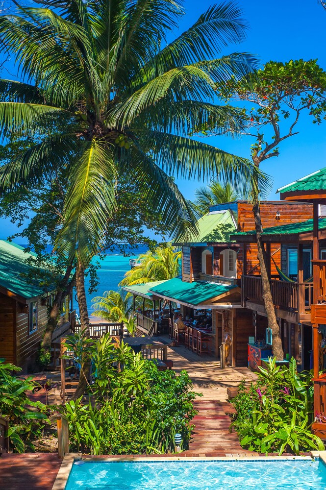 Book Blue Bahia Resort In Roatan Hotels Com