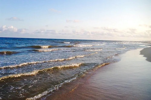 St George Inn St George Island Fl Picture Of St George Inn St George Island Tripadvisor