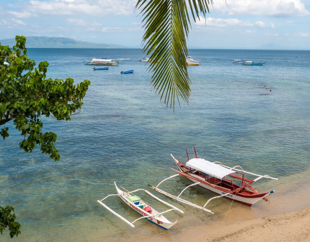 パパ フレッズ ビーチ リゾート プエルト ガレラ の宿泊予約 ホテルズドットコム