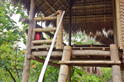 ラブ アンド ピース ディープ ジャングル リバー リゾート プエルト プリンセラ の宿泊予約 ホテルズドットコム ラブ アンド ピース ディープ ジャングル リバー リゾート プエルト プリンセラ の宿泊予約 ホテルズドットコム