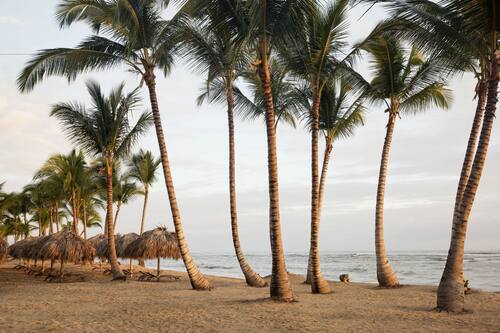 Book Excellence El Carmen Adults Only All Inclusive In Punta Cana And Vicinity Hotels Com Book Excellence El Carmen Adults Only All Inclusive In Punta Cana And Vicinity Hotels Com