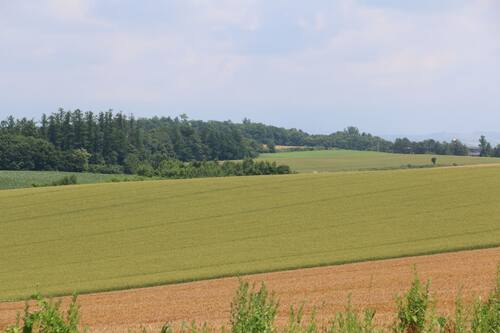 ペンション ケンとメリー ケンとメリーの木すぐそばのいい雰囲気のペンション 宿泊予約はホテルズドットコム ペンション ケンとメリー ケンとメリーの木すぐそばのいい雰囲気のペンション 宿泊予約はホテルズドットコム