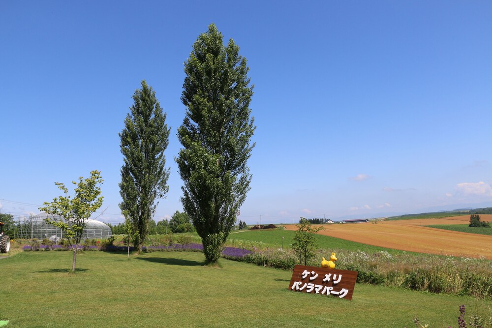 ペンション ケンとメリー ケンとメリーの木すぐそばのいい雰囲気のペンション 宿泊予約はホテルズドットコム