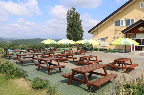 ペンション ケンとメリー ケンとメリーの木すぐそばのいい雰囲気のペンション 宿泊予約はホテルズドットコム ペンション ケンとメリー ケンとメリーの木すぐそばのいい雰囲気のペンション 宿泊予約はホテルズドットコム