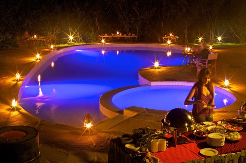 アシュニール マラ キャンプ マサイ マラ の宿泊予約 ホテルズドットコム