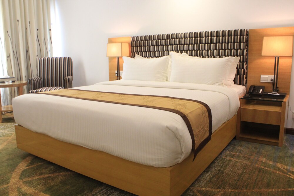 孟加拉国金丝雀公园酒店