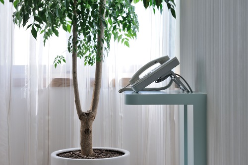 グリーン ワールド ホテル中華 洛碁中華大飯店 中山堂に近いコーヒーショップ併設のホテル 宿泊予約はホテルズドットコム