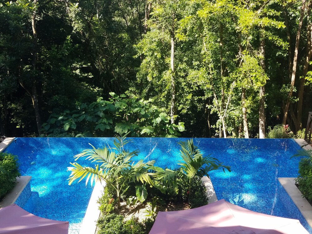 Table Rock Jungle Lodge, San Ignacio Info, Photos, Reviews Book at