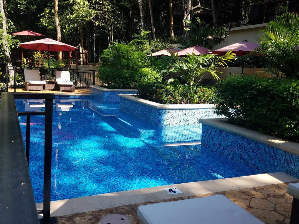 Table Rock Jungle Lodge, San Ignacio Info, Photos, Reviews Book at