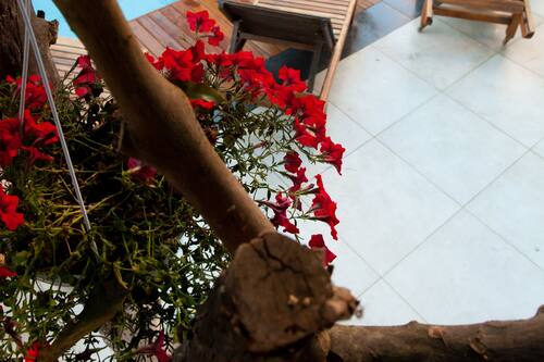 the suite apart hotel kaleici antalya