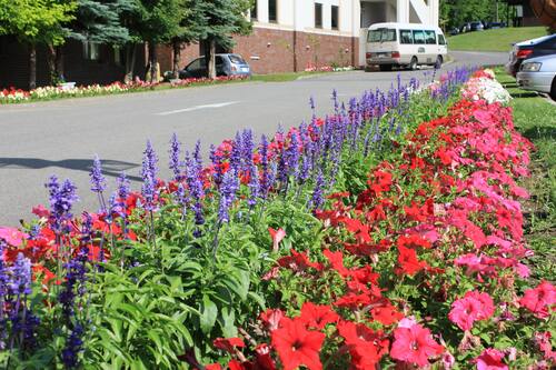 森のゆ花神楽 静かでサービスが良いホテル 家族におすすめ 宿泊予約はホテルズドットコム 森のゆ花神楽 静かでサービスが良いホテル 家族におすすめ 宿泊予約はホテルズドットコム