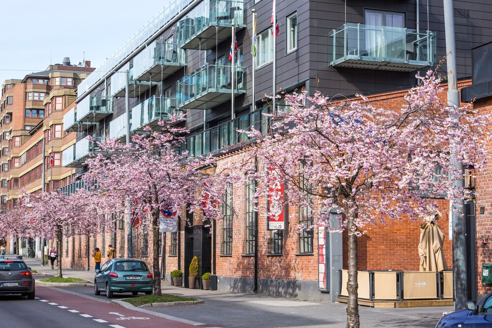 Norwegian Hotels And Apartments Oslo 2018 Updated Price Reviews Norwegian Hotels And Apartments Oslo