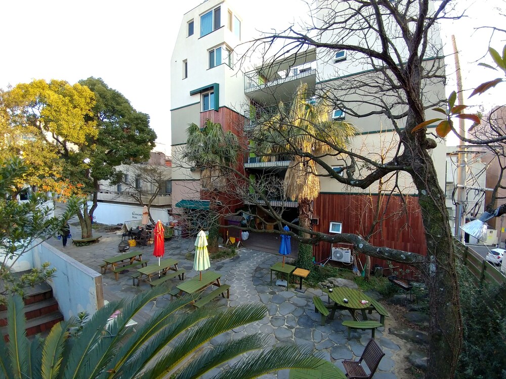 Book Backpacker S Home In Seogwipo Hotels Com