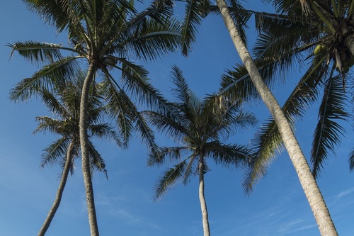 25+ Absolute Beachfront Romantic Villa Laut Gif