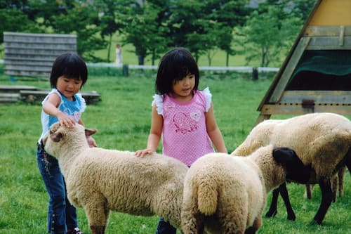 リゾートヴィラ高山 旧 ヴィラージュ荘川高原 高山 の宿泊予約 ホテルズドットコム リゾートヴィラ高山 旧 ヴィラージュ荘川高原 高山 の宿泊予約 ホテルズドットコム