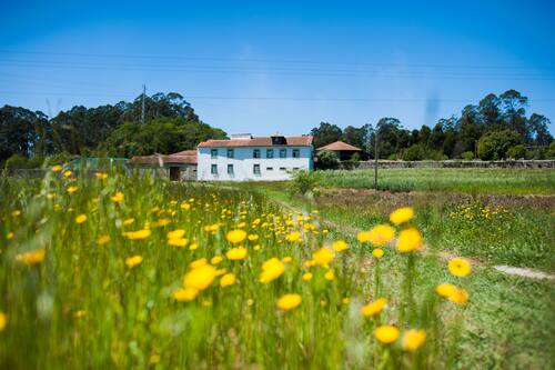Casa Mindela Farmhouse Vila Do Conde Hotels Com Casa Mindela Farmhouse Vila Do Conde Hotels Com