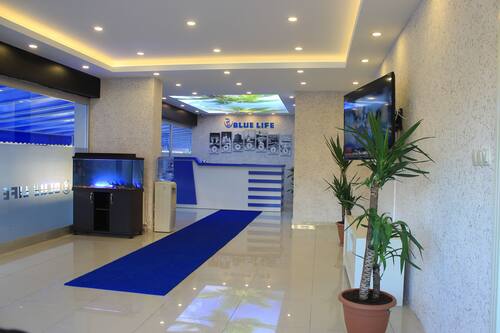 book blue life suites in icmeler