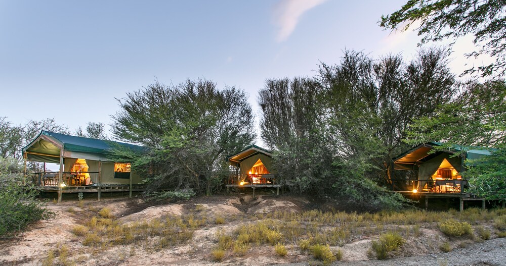 Book Chandelier Game Lodge In Oudtsn Hotels Com Chandelier Game Lodge Oudtsn