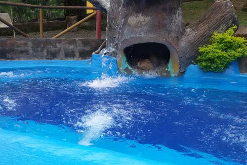 https es hotels com ho616670 el tesoro hotel y centro de convenciones san jeronimo colombia