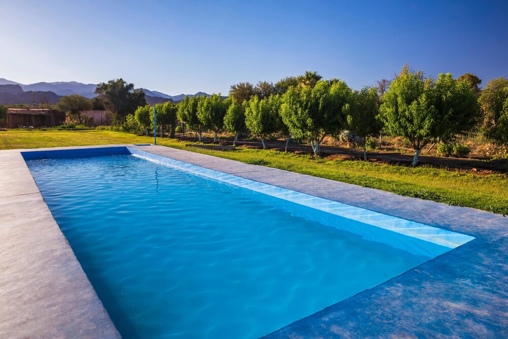 union deposit sneaker villa