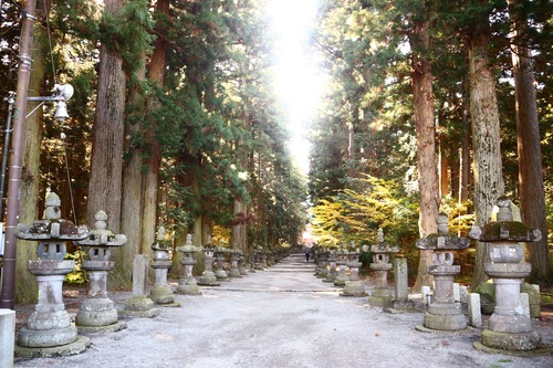 ホステル富士山 結 富士吉田 の宿泊予約 ホテルズドットコム