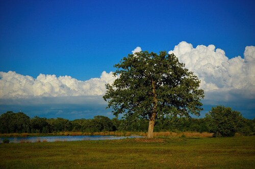 ウォーダ のホテル 宿泊予約 格安ホテル予約 最安値検索 ホテルズドットコム 多数の宿泊施設のキャンセル無料