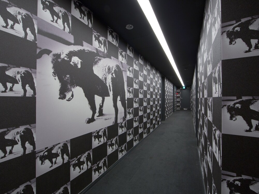 ロックスターホテル 大阪市 の宿泊予約 ホテルズドットコム