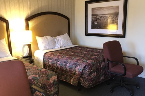 Book Heidelberg Motel In Bridgeport Hotels Com