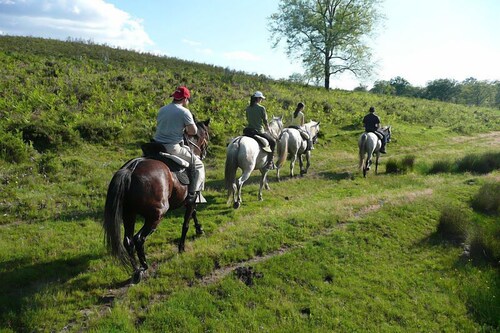 Casa Rural Crisol Spa Arenas De San Pedro 2019 Updated Price Reviews Hd Photos Hotels Com