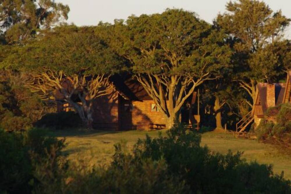 Kragga Kamma Game Park, Port Elizabeth Book at