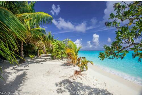 book thoddoo beach view by vista in