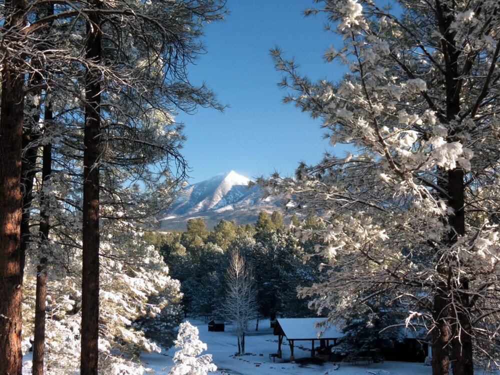 Arizona Mountain Inn And Cabins Flagstaff Info Photos Reviews Book At Hotels Com