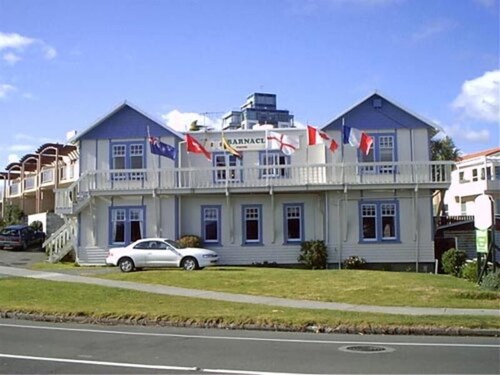 Image result for barnacles hostel nz