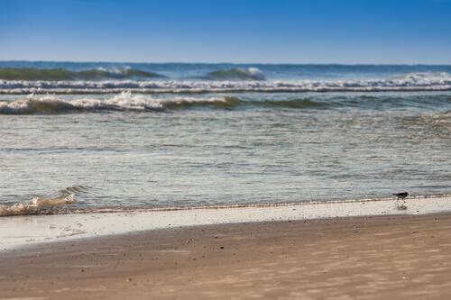 The Salty Mermaid Oceanfront Hotel New Smyrna Beach Info Photos Reviews Book At Hotels Com The Salty Mermaid Oceanfront Hotel New Smyrna Beach Info Photos Reviews Book At Hotels Com