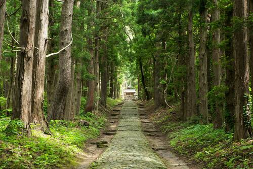 フォレストリゾート 猪苗代 四季の里 猪苗代 の宿泊予約 ホテルズドットコム フォレストリゾート 猪苗代 四季の里 猪苗代 の宿泊予約 ホテルズドットコム