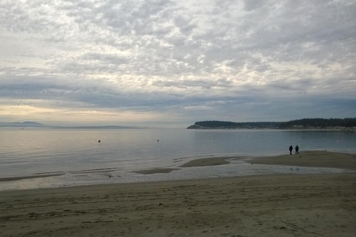 Top Hotels In Freeland Washington Cancel Free On Most Hotels Hotels Com Top Hotels In Freeland Washington Cancel Free On Most Hotels Hotels Com